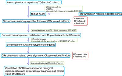 Characterization of chromatin regulators identified prognosis and heterogeneity in hepatocellular carcinoma